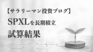 SPXLに長期積立投資した試算結果